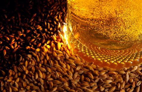 malrt|Malt .